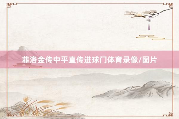 菲洛金传中平直传进球门体育录像/图片