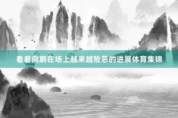 看着向鹏在场上越来越险恶的进展体育集锦