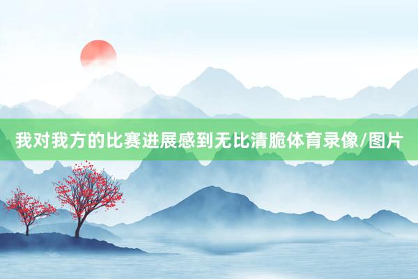 我对我方的比赛进展感到无比清脆体育录像/图片