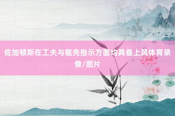 佐加顿斯在工夫与躯壳指示方面均具备上风体育录像/图片