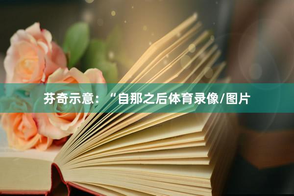 芬奇示意：“自那之后体育录像/图片