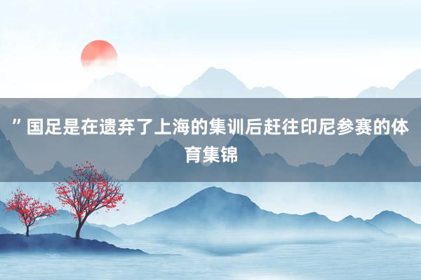 ” 国足是在遗弃了上海的集训后赶往印尼参赛的体育集锦
