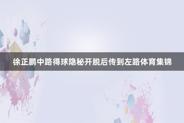 徐正鹏中路得球隐秘开脱后传到左路体育集锦