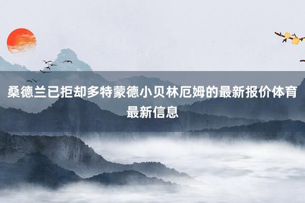 桑德兰已拒却多特蒙德小贝林厄姆的最新报价体育最新信息