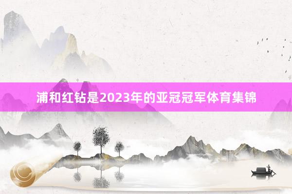 浦和红钻是2023年的亚冠冠军体育集锦