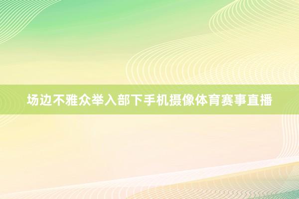 场边不雅众举入部下手机摄像体育赛事直播
