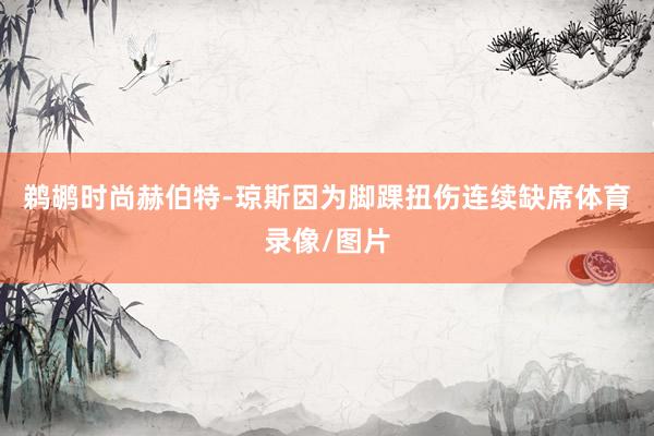 鹈鹕时尚赫伯特-琼斯因为脚踝扭伤连续缺席体育录像/图片