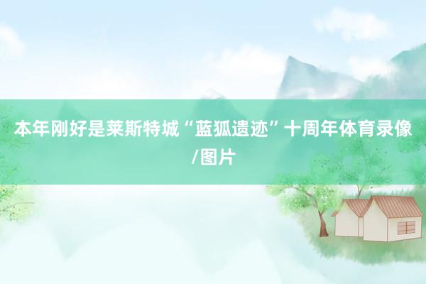 本年刚好是莱斯特城“蓝狐遗迹”十周年体育录像/图片