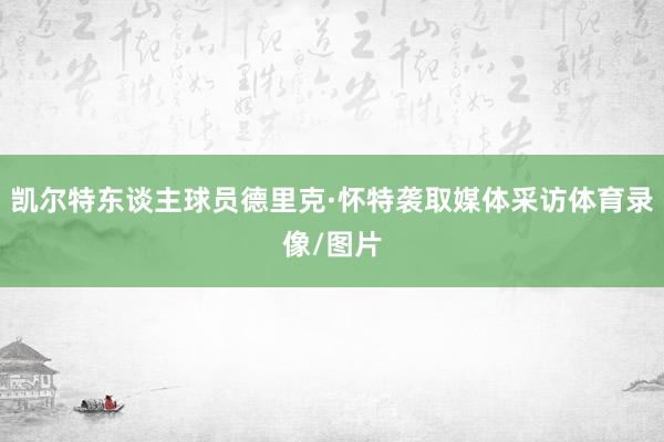 凯尔特东谈主球员德里克·怀特袭取媒体采访体育录像/图片