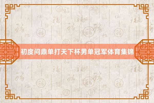 初度问鼎单打天下杯男单冠军体育集锦