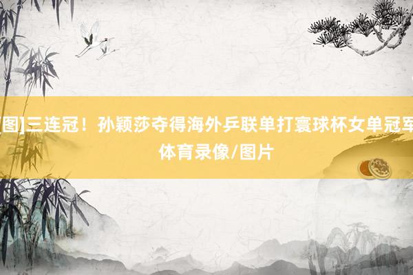 [图]三连冠！孙颖莎夺得海外乒联单打寰球杯女单冠军    体育录像/图片
