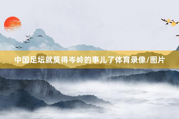 中国足坛就莫得岑岭的事儿了体育录像/图片