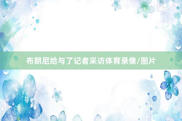 布朗尼给与了记者采访体育录像/图片