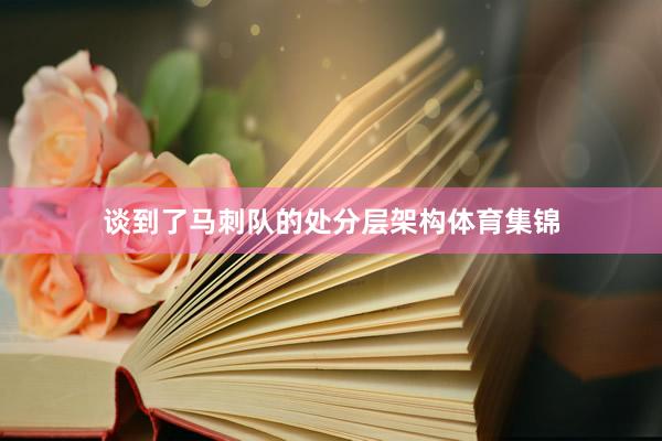 谈到了马刺队的处分层架构体育集锦
