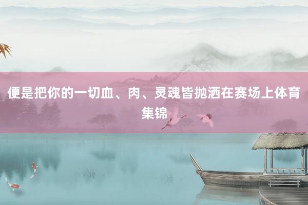 便是把你的一切血、肉、灵魂皆抛洒在赛场上体育集锦