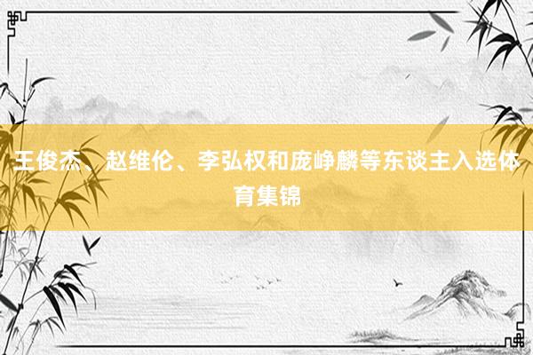 王俊杰、赵维伦、李弘权和庞峥麟等东谈主入选体育集锦